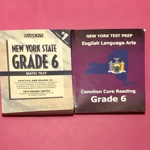 ❤️New York Grade 6 Math Common Core Reading Books